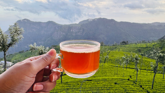 Tea Myths Busted: How to Buy Real, Good Tea | Xah
