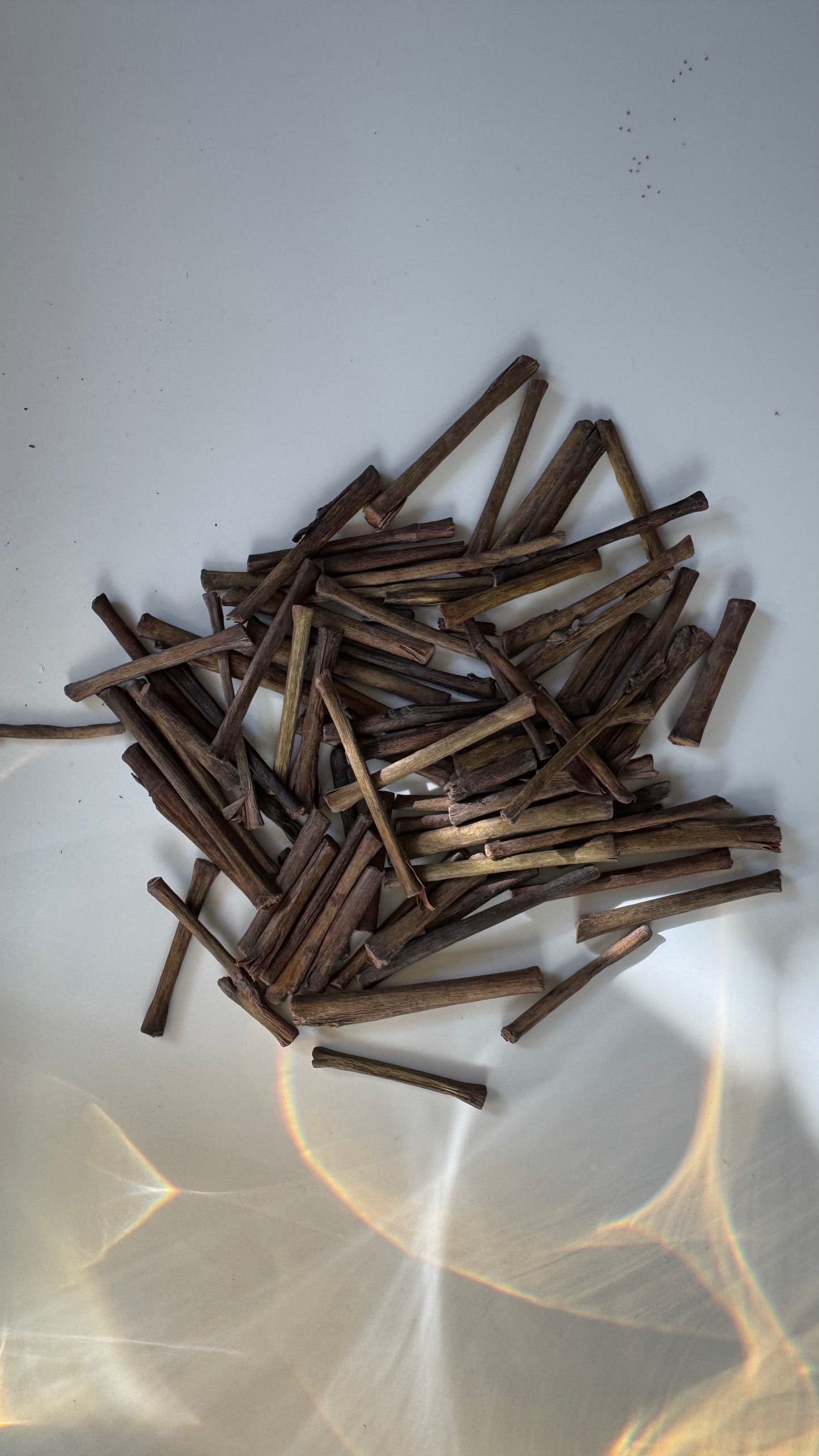 Discovery Collection