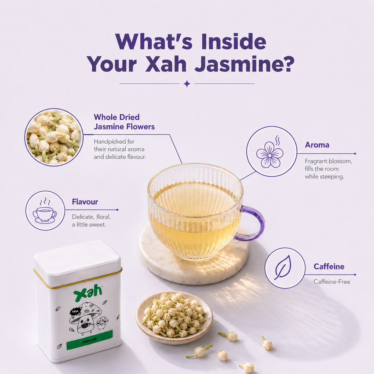 Jasmine - Night Bloomer