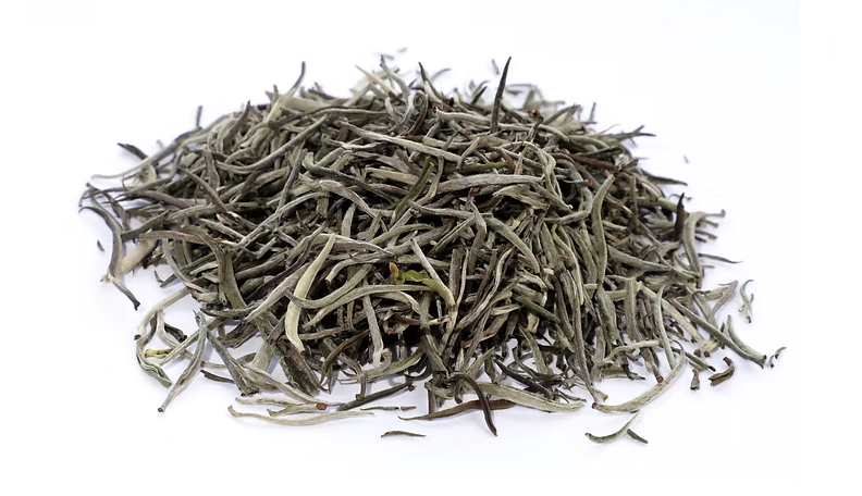 Discovery Collection