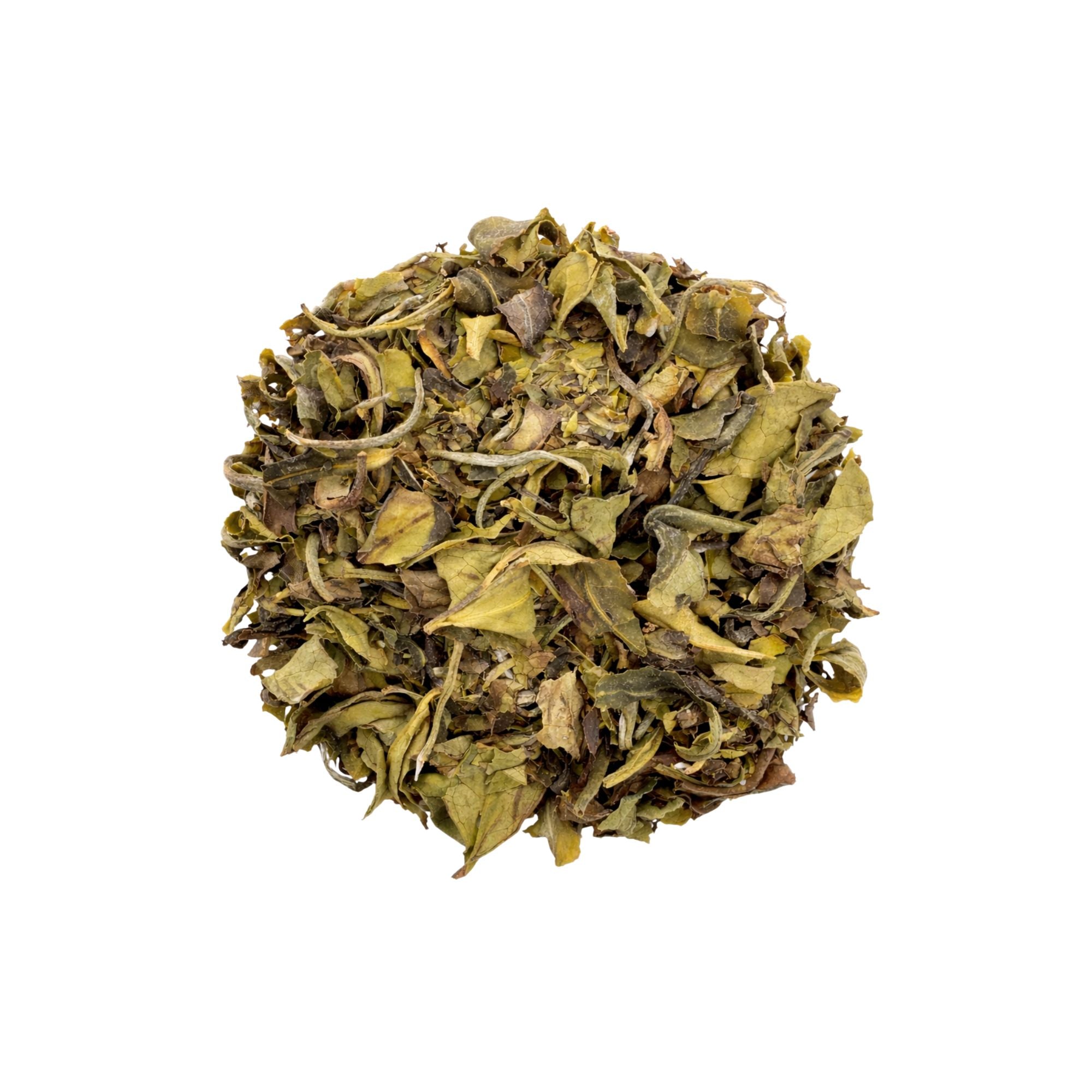 White Peony (Bai Mudan) Tea